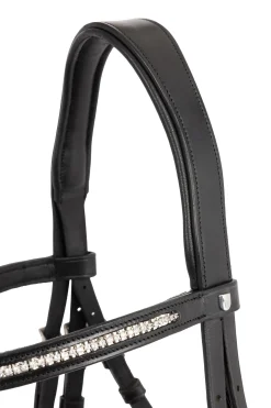 anatomisk tøyle Francis Crown