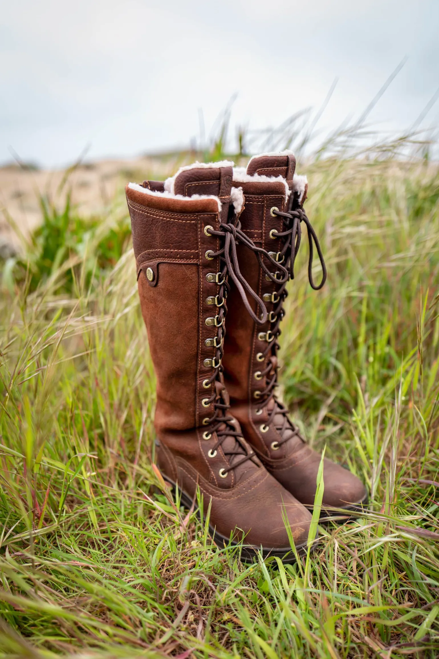 Ariat Wythburn Tall vanntette støvler for kvinner