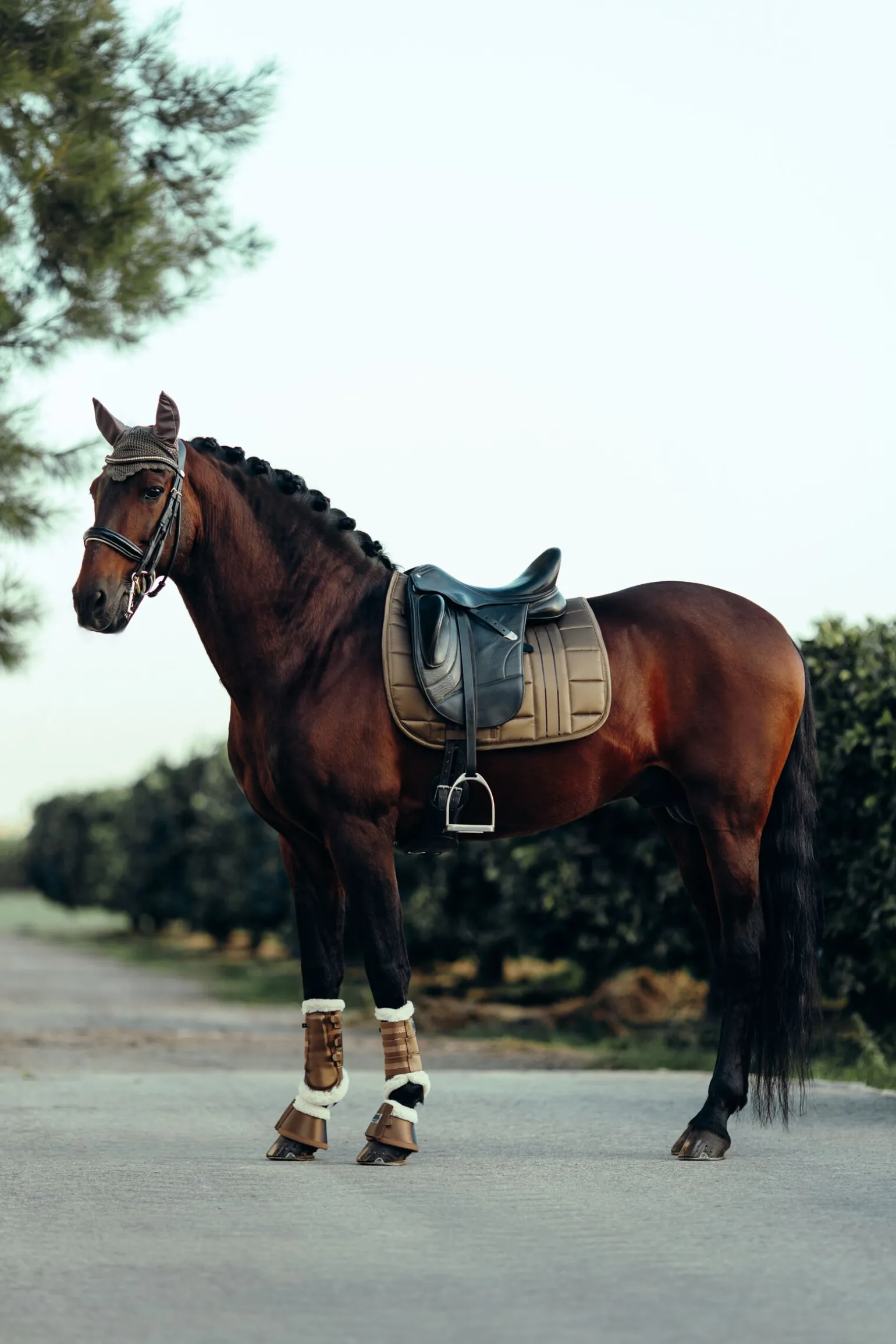 B Vertigo Drew ørehette