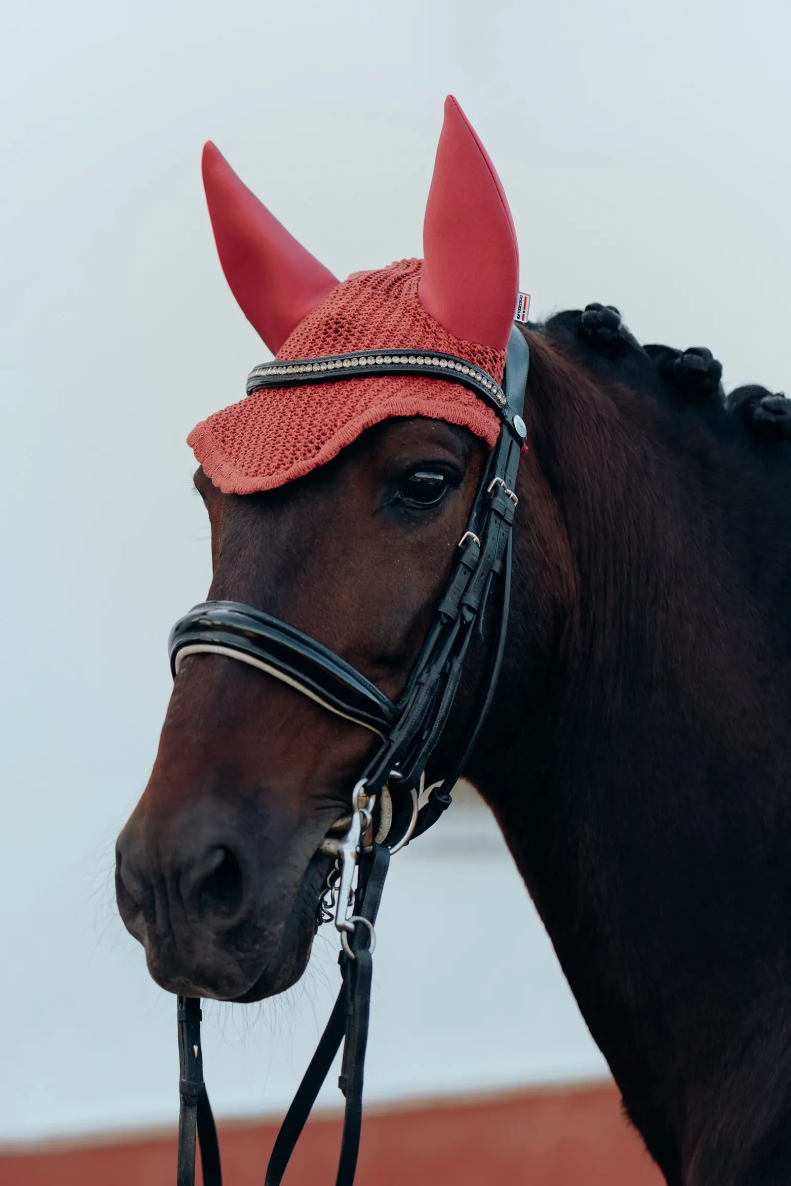 B Vertigo Laurel ørehette