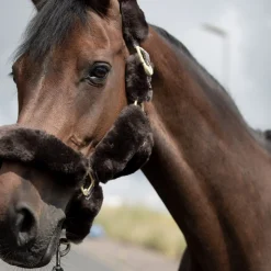 B Vertigo Tremblant grime med saueskinn