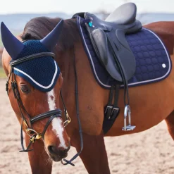 B Vertigo Zurich dressursjabrak