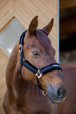 Back on Track Hace kolleksjonen, grime