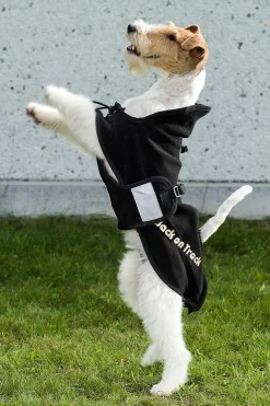 Back on Track hundedekken i fleece, 59-74