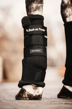 Back On Track Quick Royal stallbandasjer