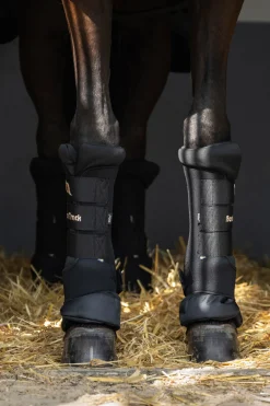 Back On Track Quick Royal stallbandasjer