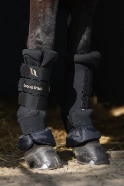 Back On Track Quick Royal stallbandasjer