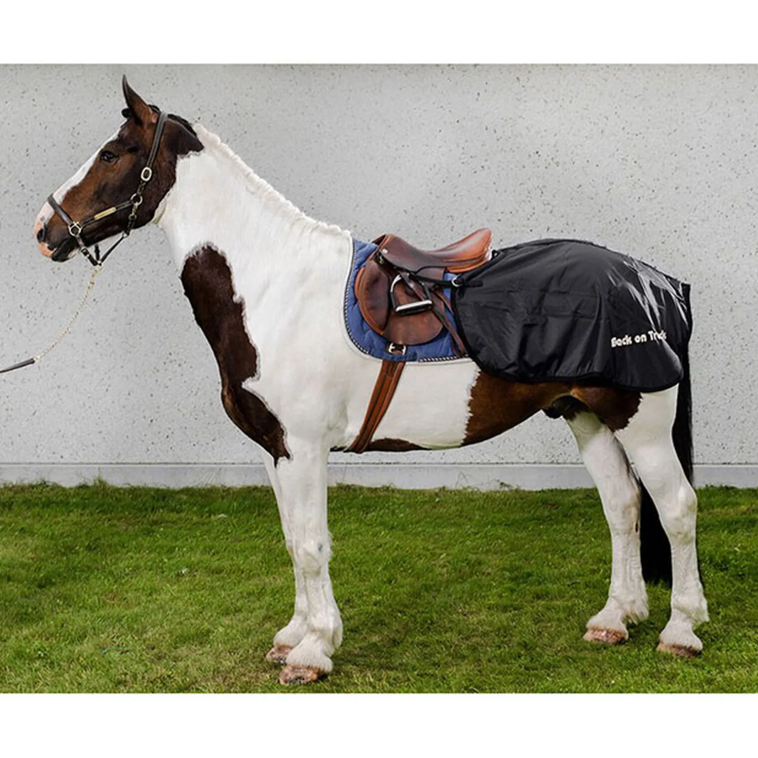 Back on Track ridedekken