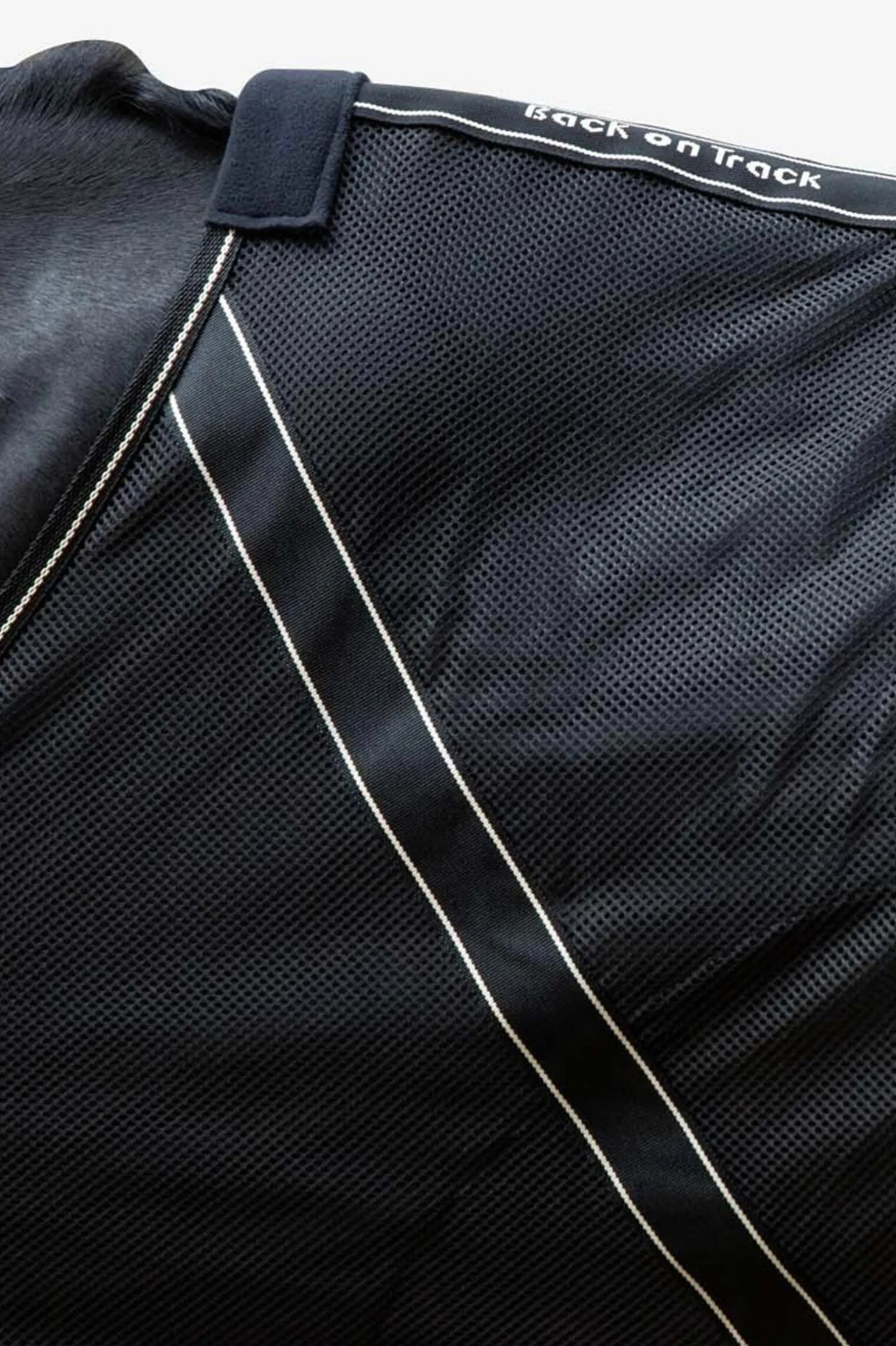 Back on Track Sienna cooler