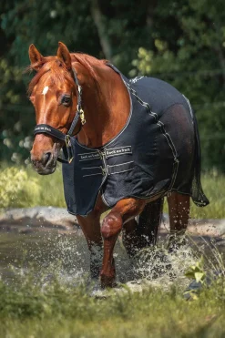 Back on Track Sienna cooler