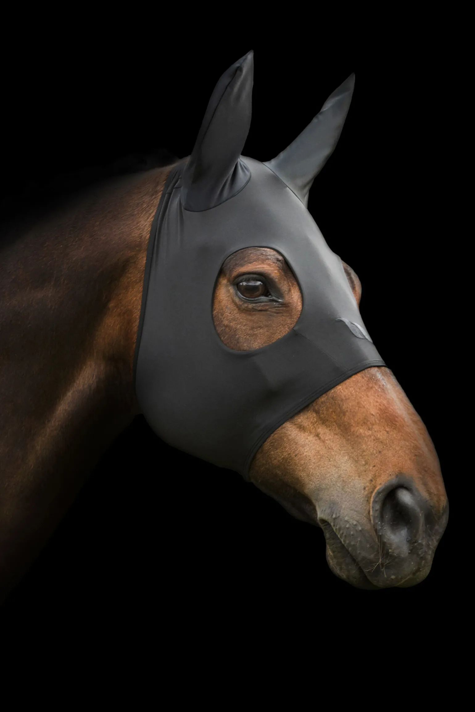 Back on Track Spirit Beroligende maske med ører