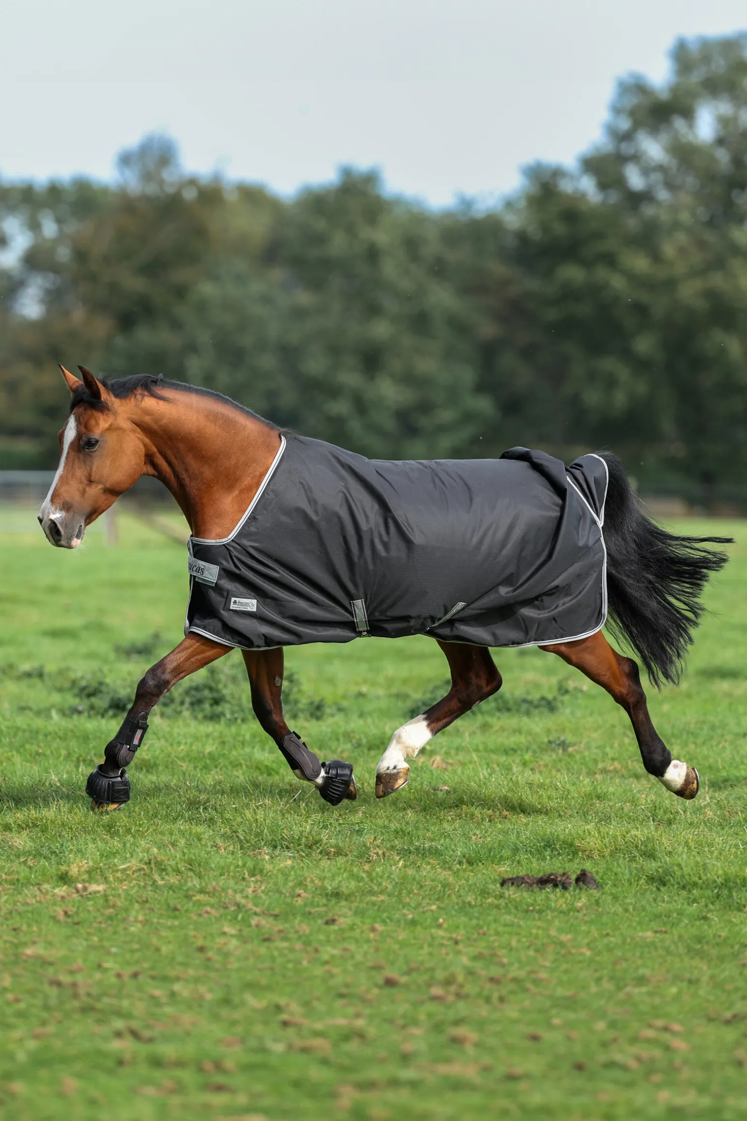 Bucas Anniversary SD lett regndekken, 0g