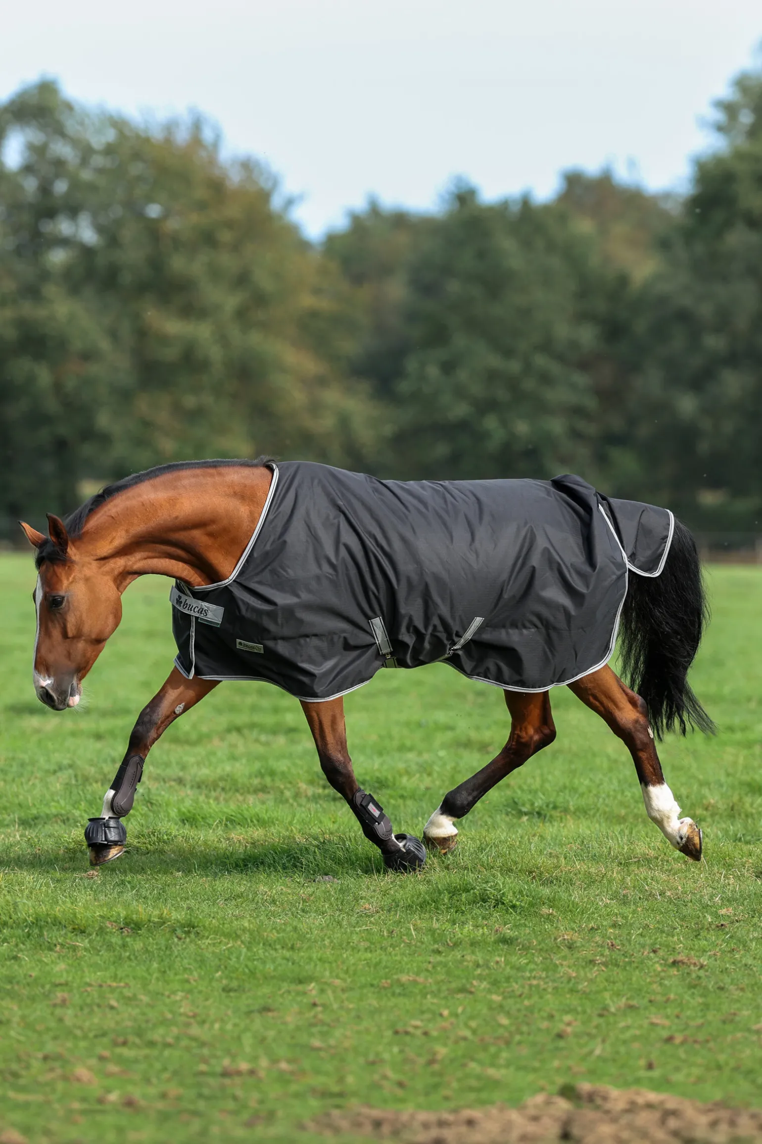 Bucas Anniversary SF lett regndekken, 50g