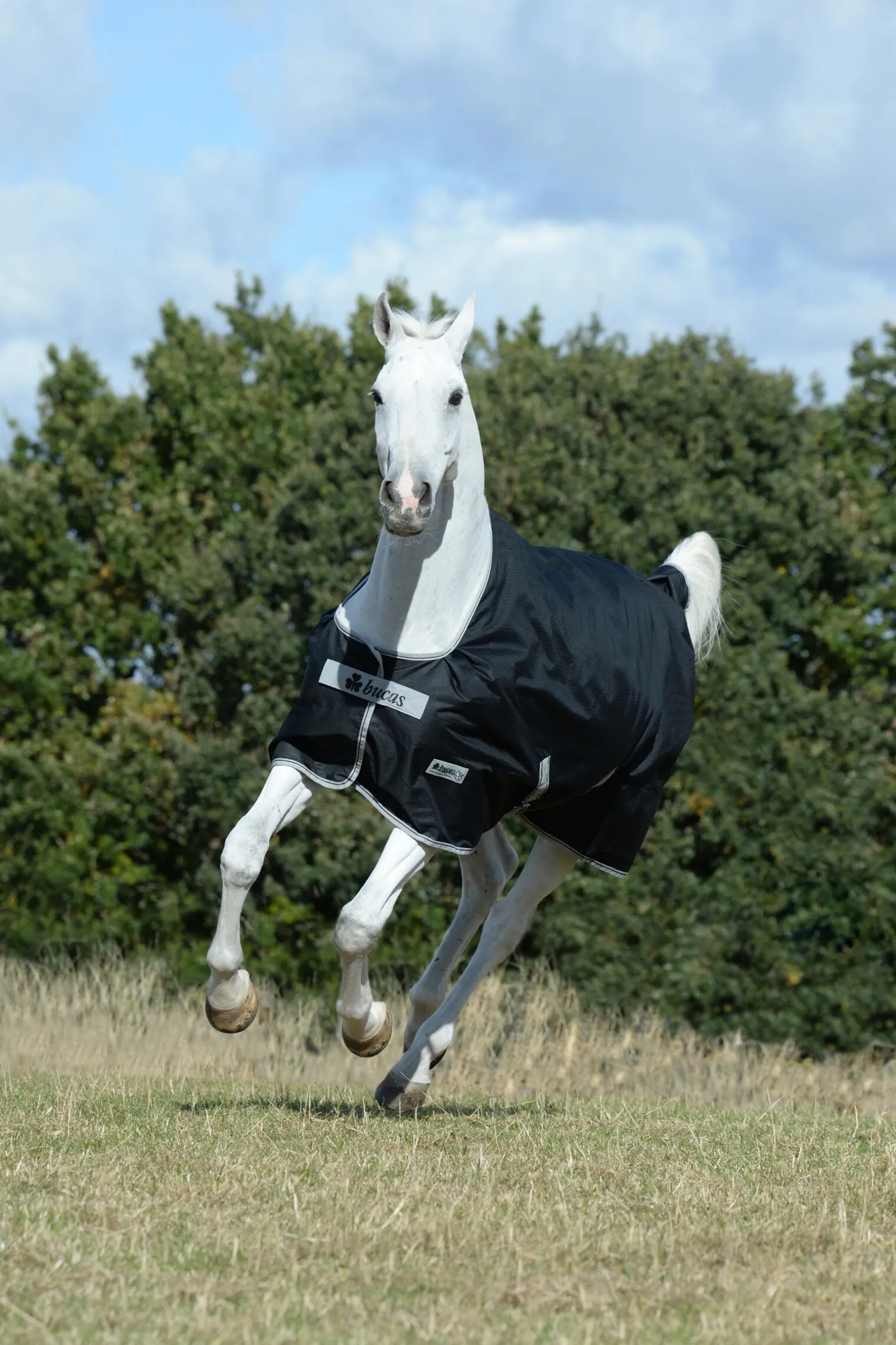 Bucas Anniversary SF lett regndekken, 50g