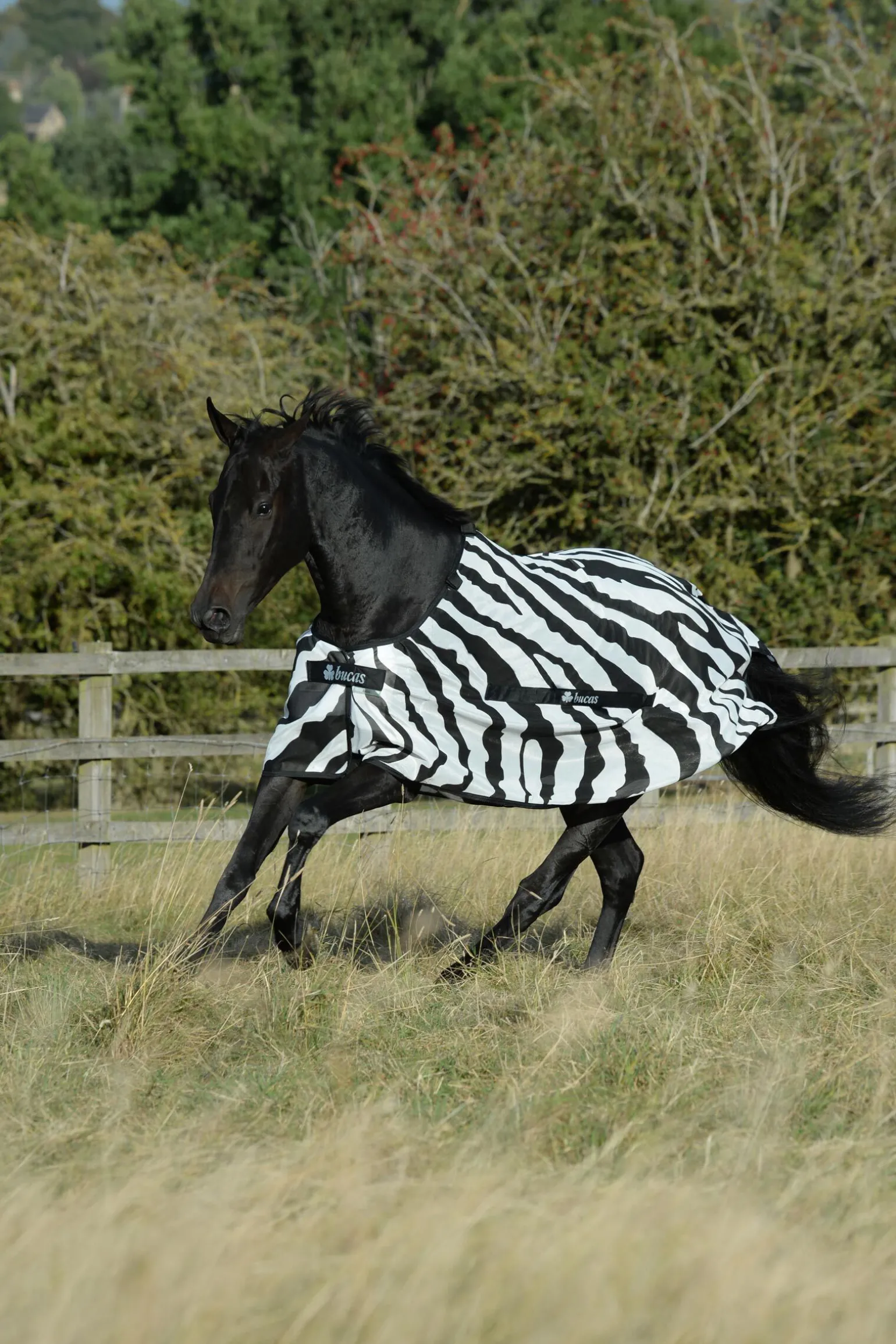 Bucas Buzz-Off Zebra fluedekken med avtagbart halsstykke
