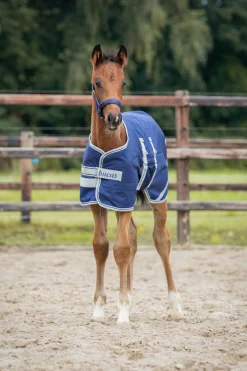 Bucas føldekken, 50g