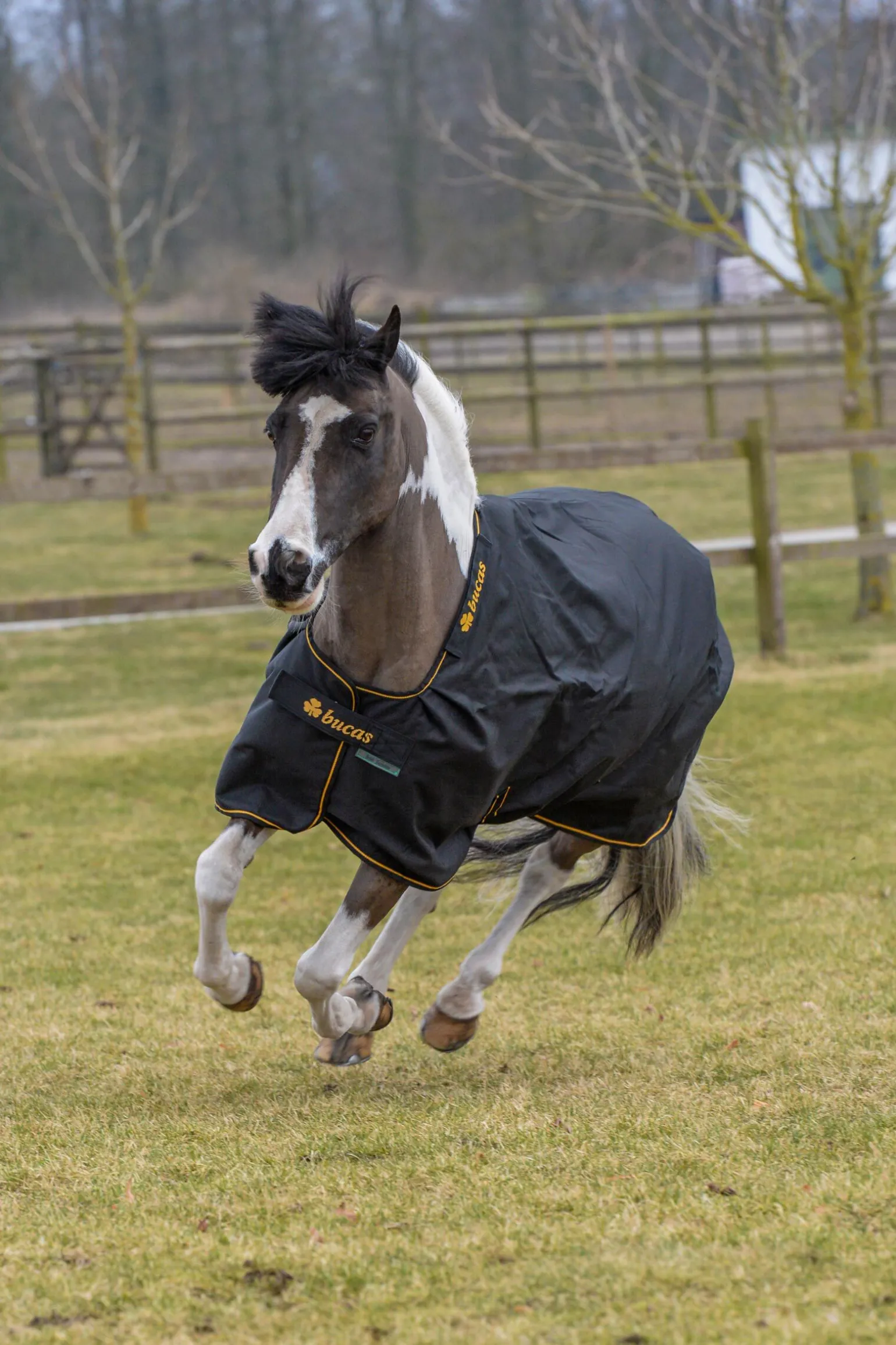 Bucas Irish utedekken, 150g