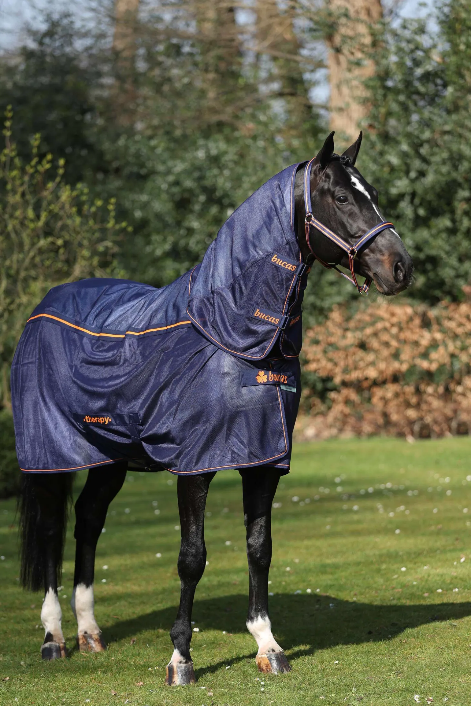 Bucas Therapy Mesh Cooler-dekken