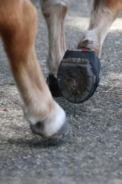 Cavallo Hoof Boots F.R.A. CLB boots (vanlig/par)