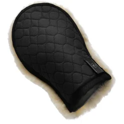 Christ Pussehanske  Universal