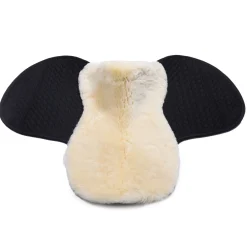 Christ Voilock Champ S