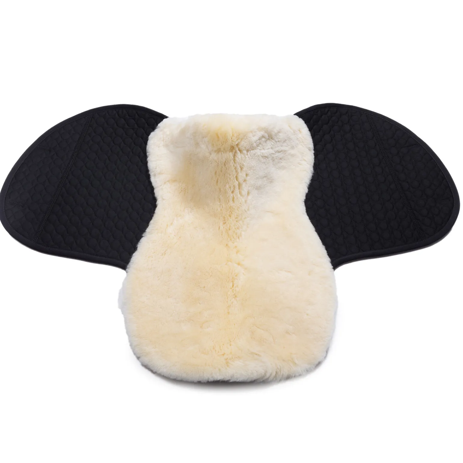 Christ Voilock Champ S