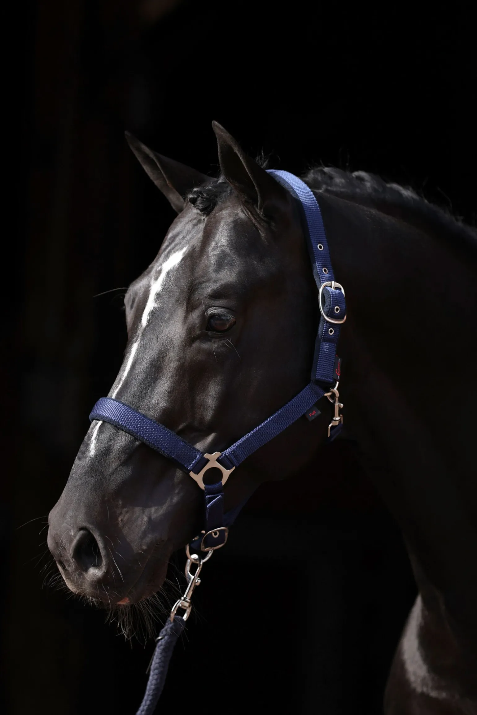 Covalliero Dexter grime med fleecefôring