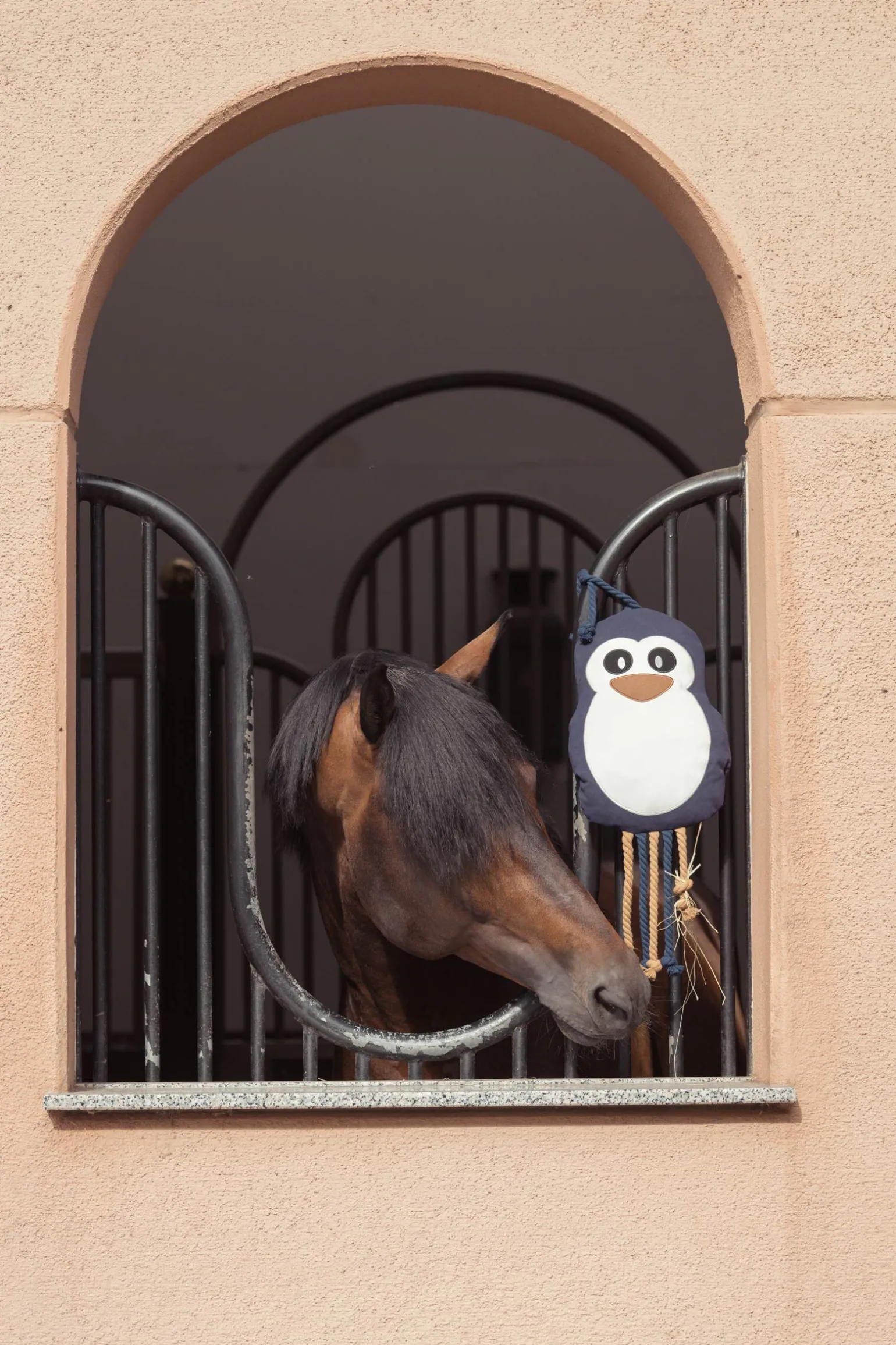 Eskadron Heritage AW24 Penguin hesteleke