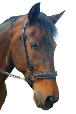 F.R.A. Freedom Riding Articles Lami bitless bridle (system 4) med tøyler og krokfeste