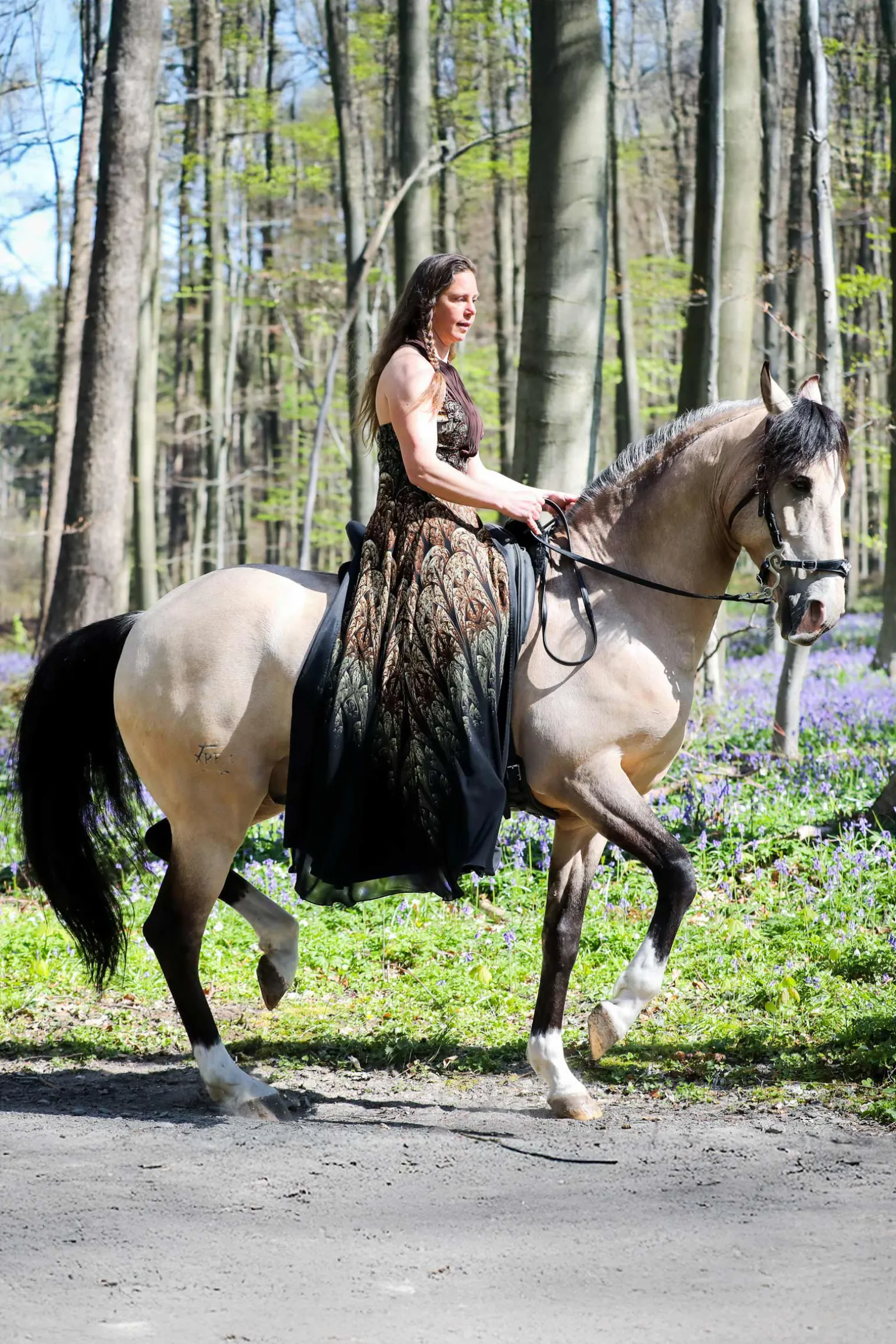 F.R.A. Freedom Riding Articles Imperial hodelag hackamore med tøyler (system 2)