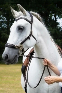 F.R.A. Freedom Riding Articles Glory hodelag Hackamore med tøyler (system 2), brun