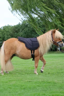 F.R.A. Freedom Riding Articles Dardo barbakpad (S)