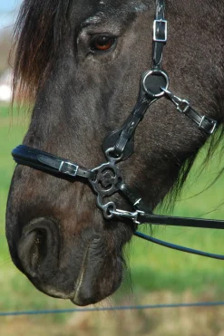 F.R.A. Freedom Riding Articles Calli hodelag Hackamore med tøyler (system 2)