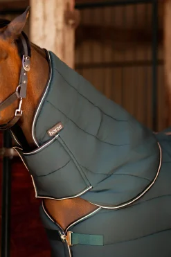 Hals til Glasgow ponnidekken for stall