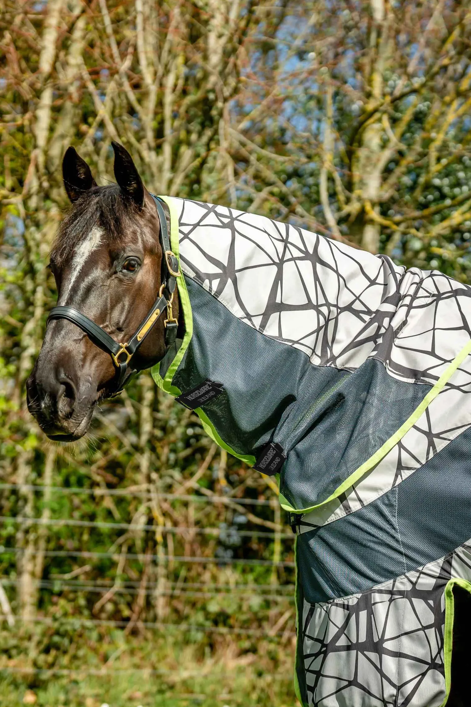 Horseware Amigo 3-in-1 CamoFly Fluedekken