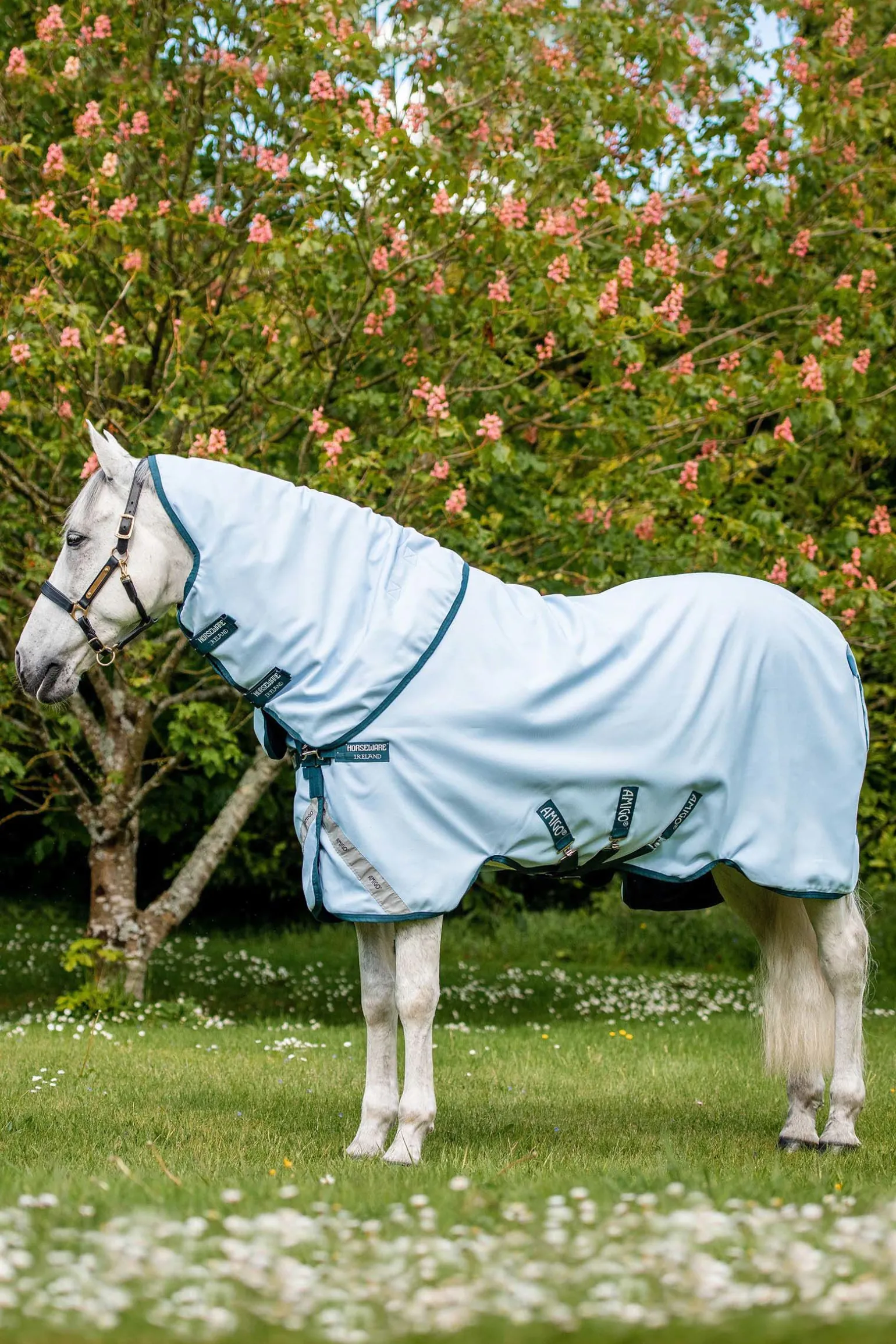 Horseware Amigo Plant Dye utedekken, 50 gram