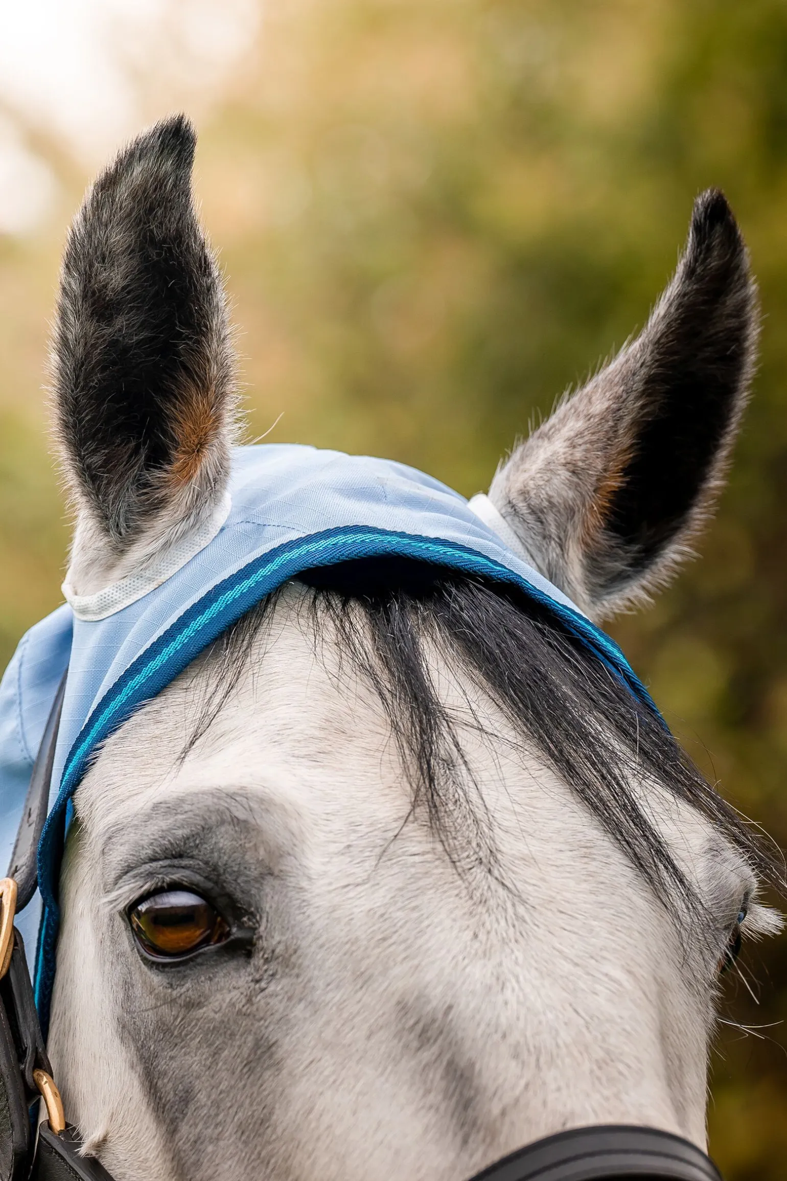 Horseware Amigo Ripstop Hoody eksemtrekk, 0g