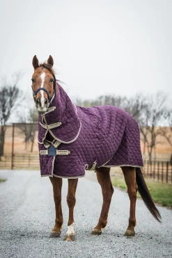 Horseware Amigo Stable Plus stalldekken med avtakbar halsdel, 200g