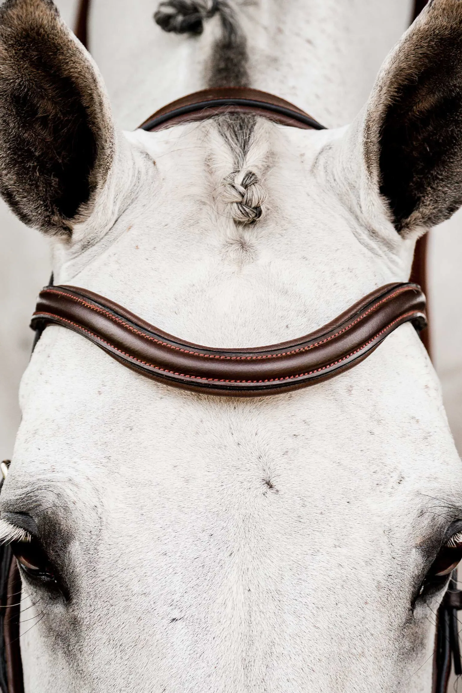 Horseware Micklem 2 Competition hodelag