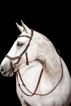 Horseware Micklem 2 Competition hodelag med gummitøyler