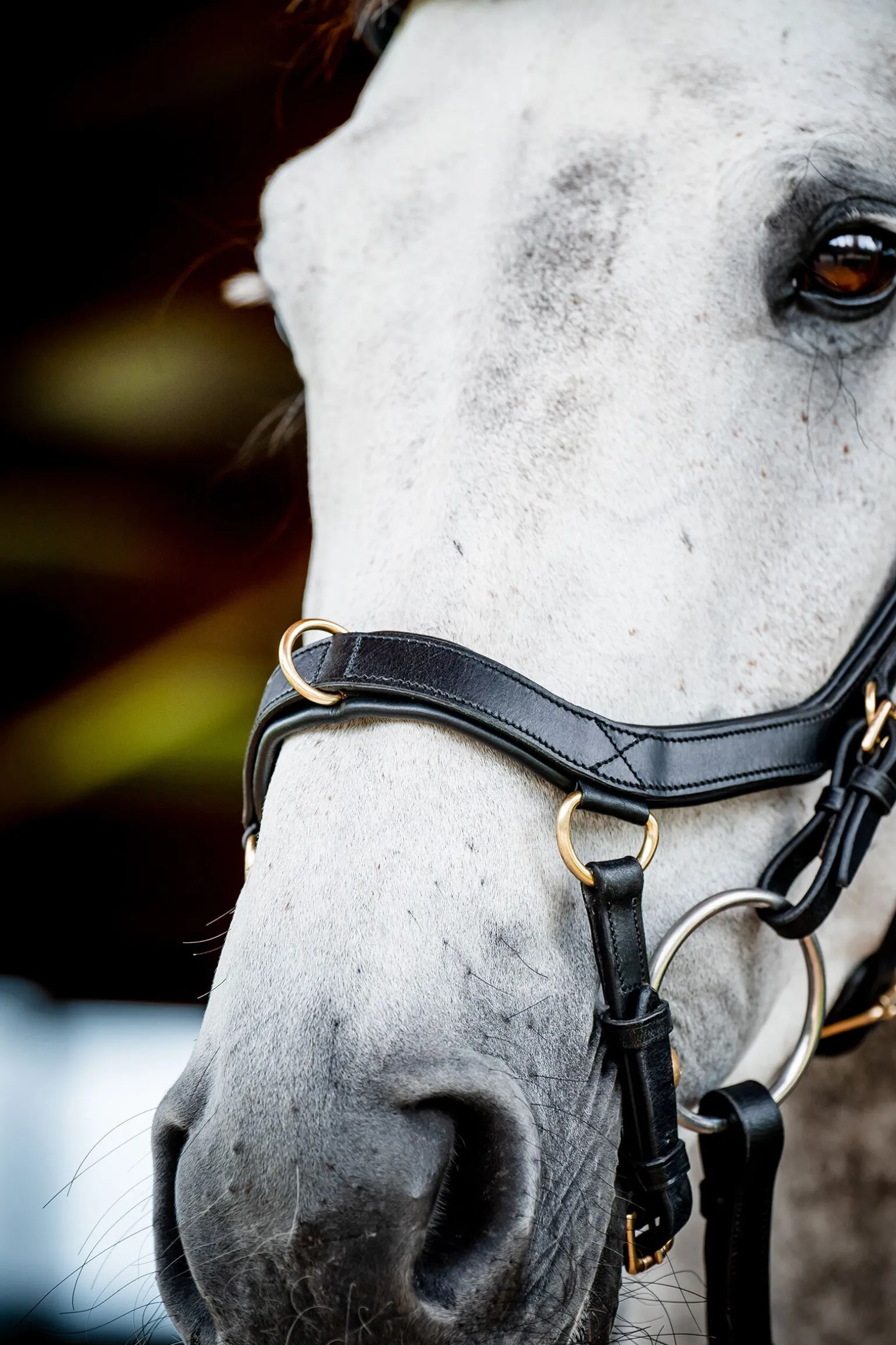 Horseware Micklem 2 Multi Hodelag