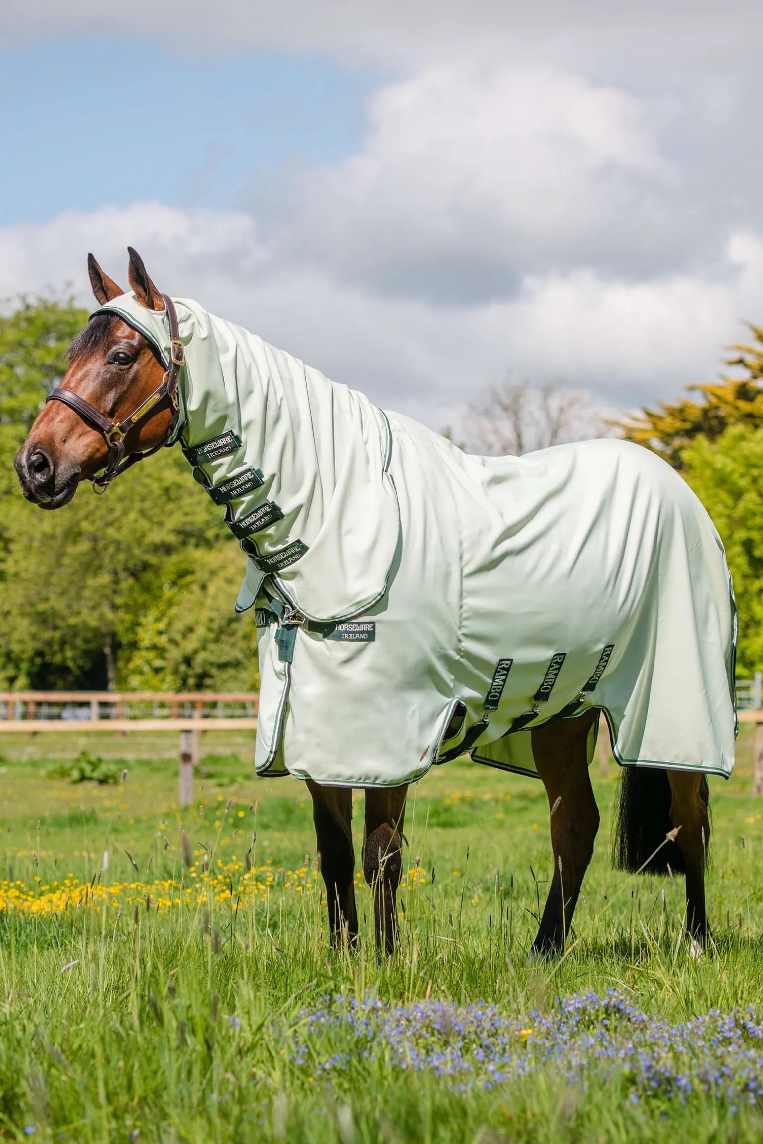 Horseware Rambo Hoody Fluedekken med fast hals