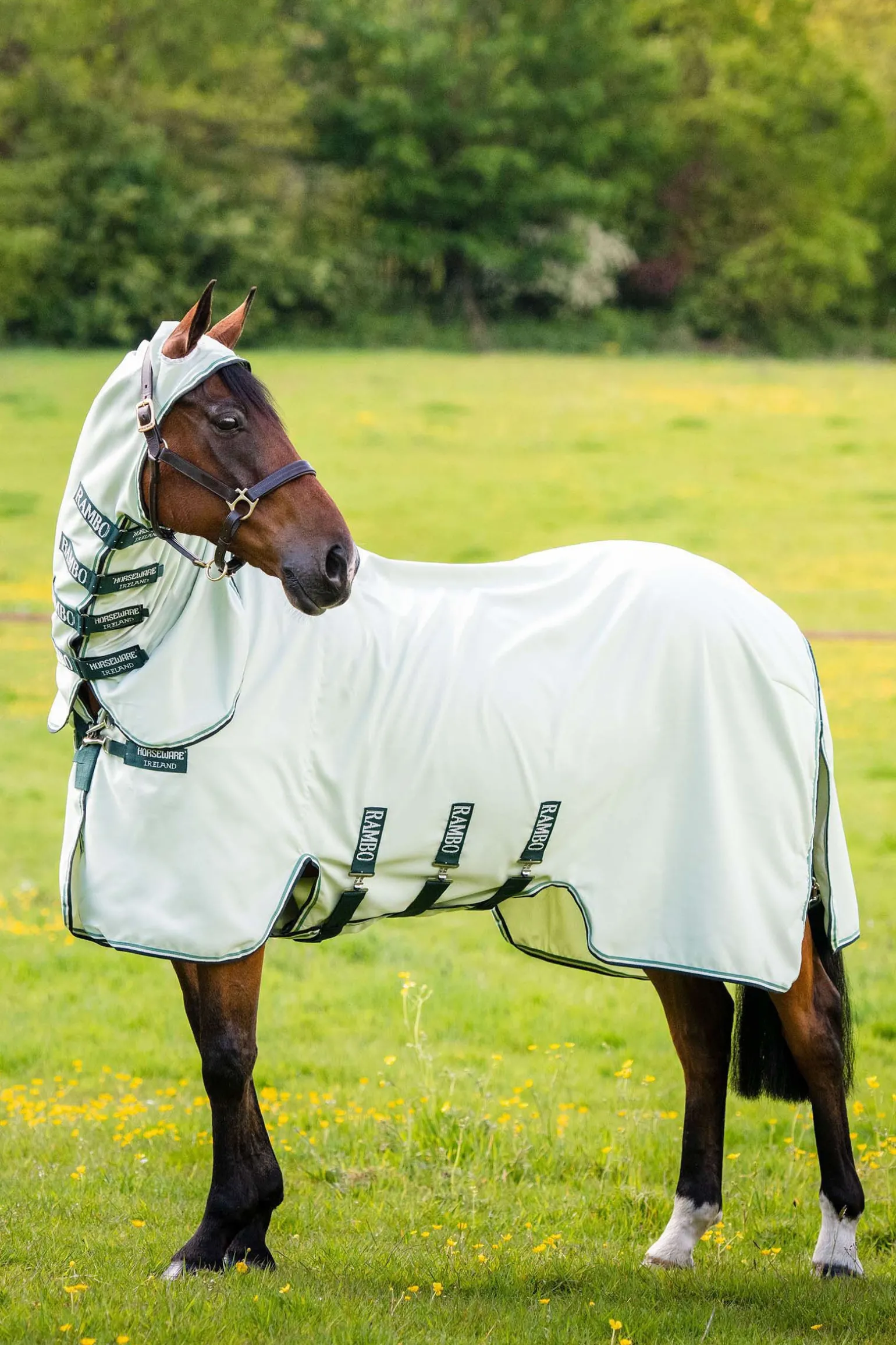 Horseware Rambo Hoody Fluedekken med fast hals