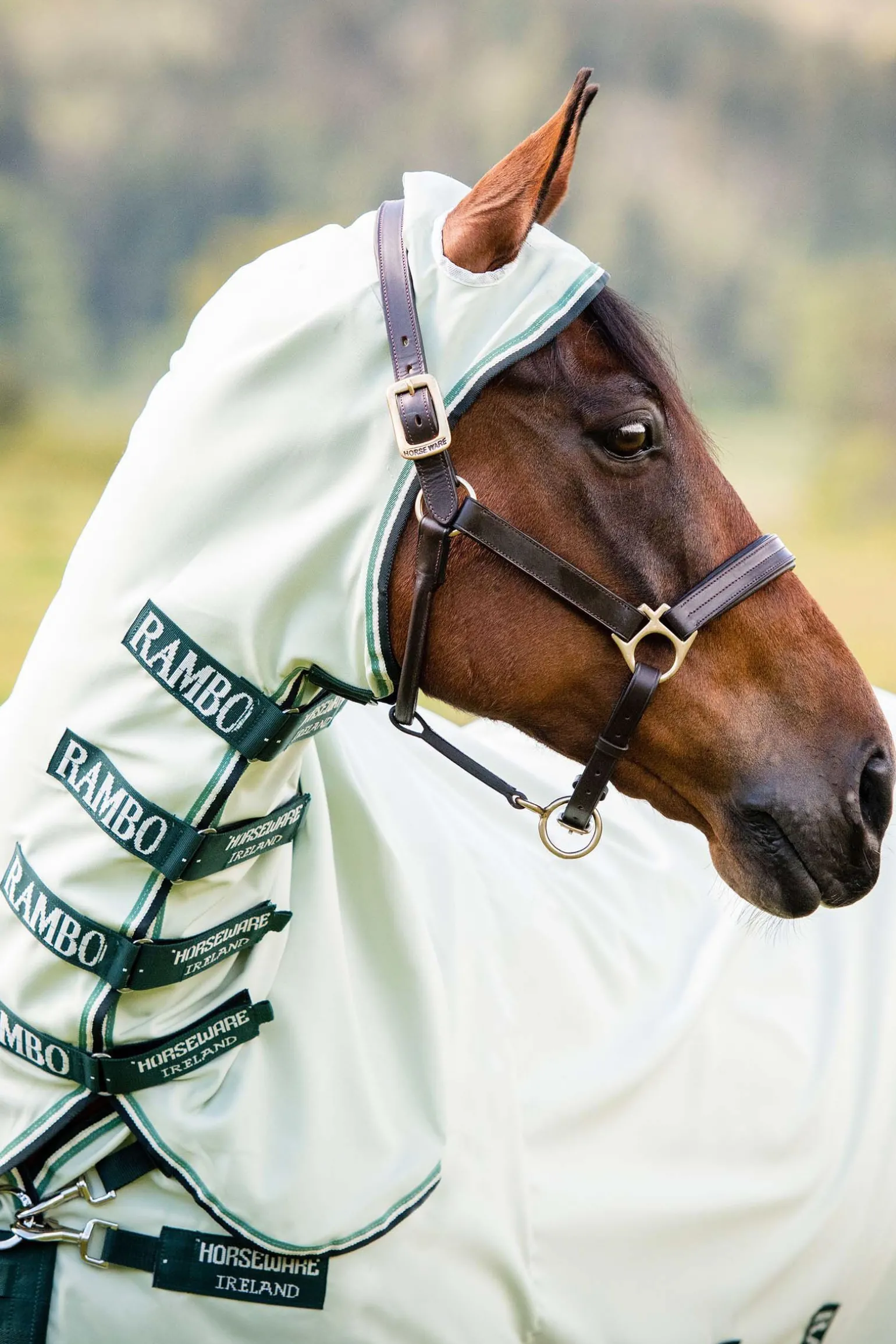 Horseware Rambo Hoody Fluedekken med fast hals