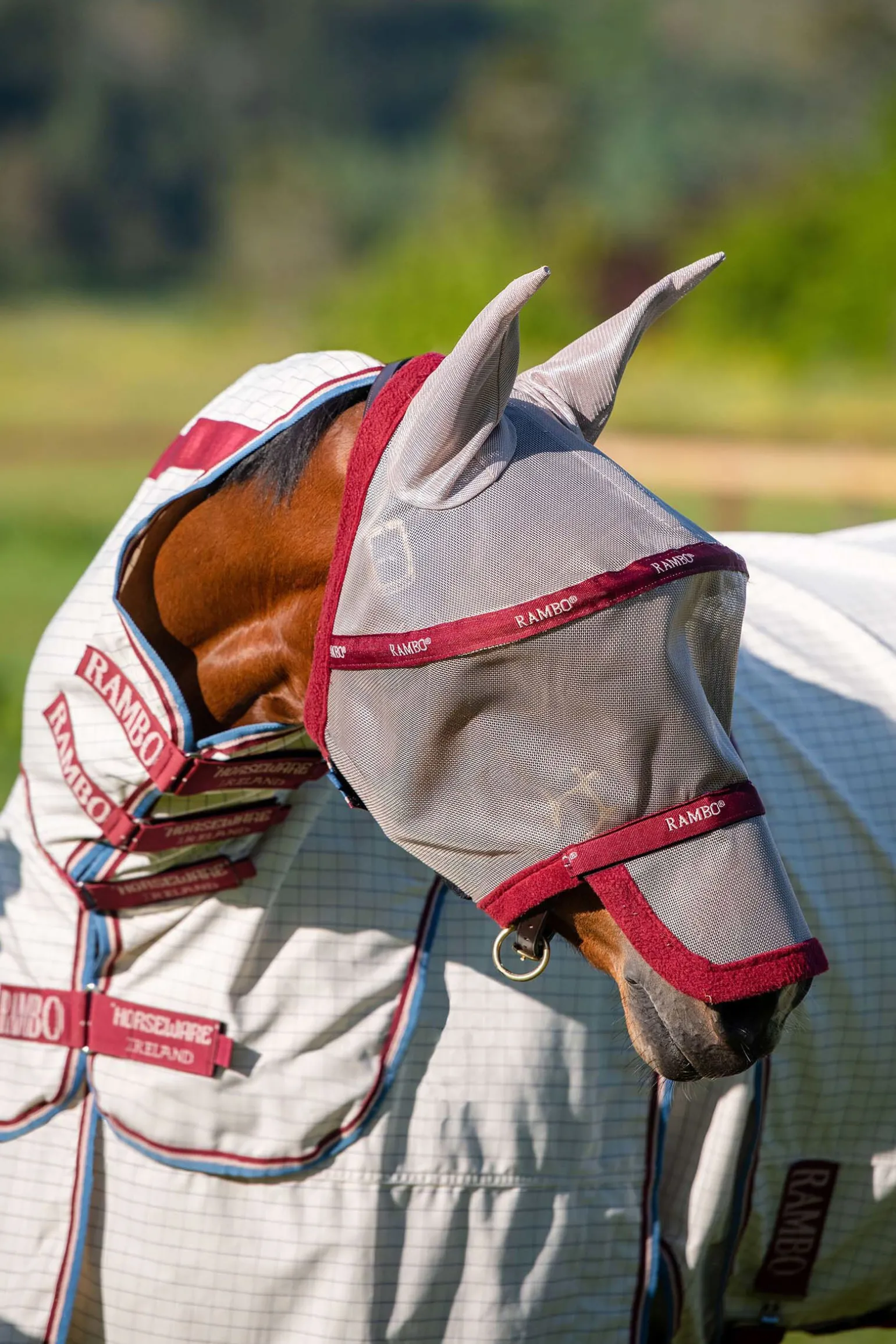 Horseware Rambo Plus fluemaske