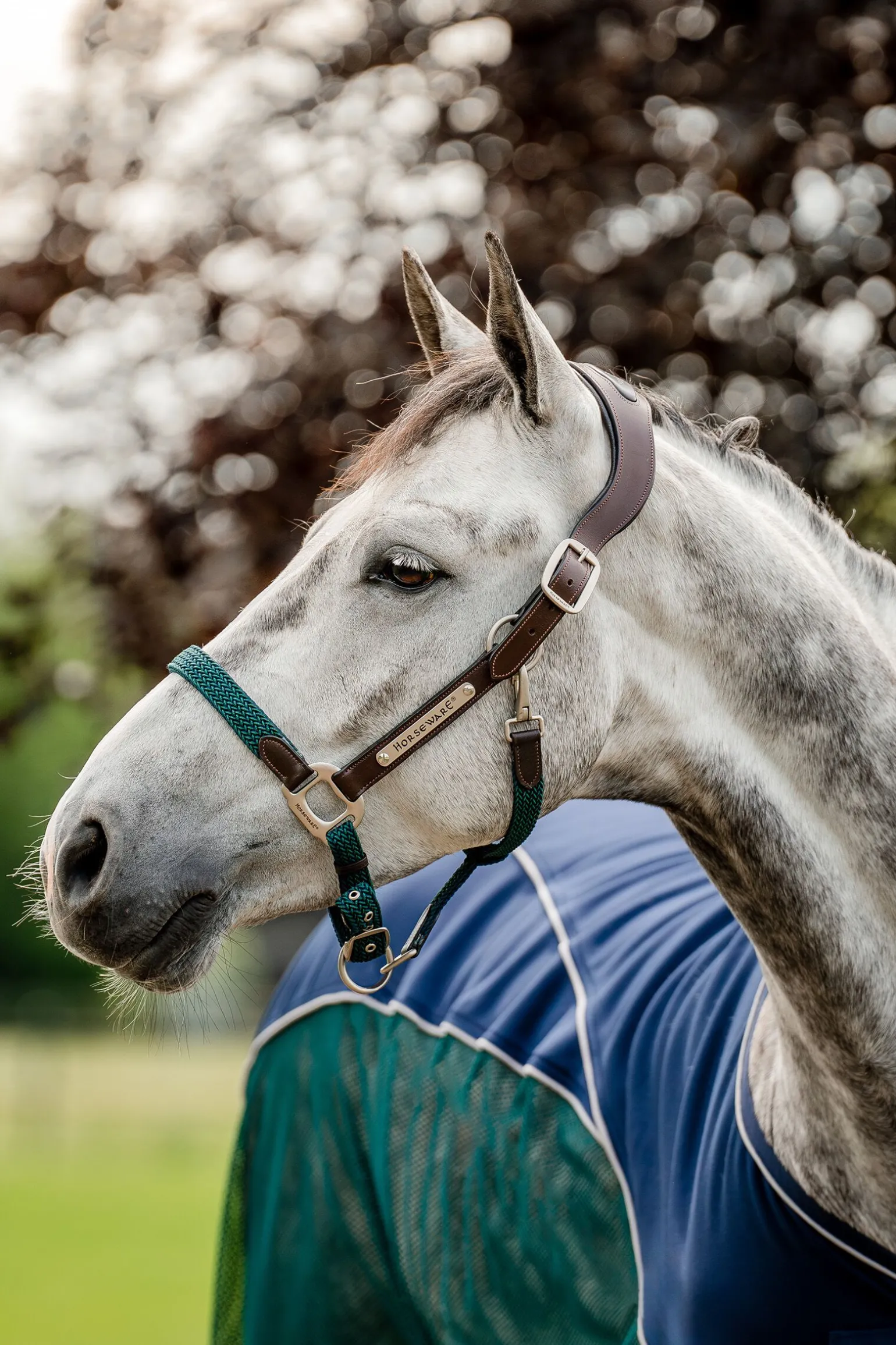 Horseware Signature flettet grime