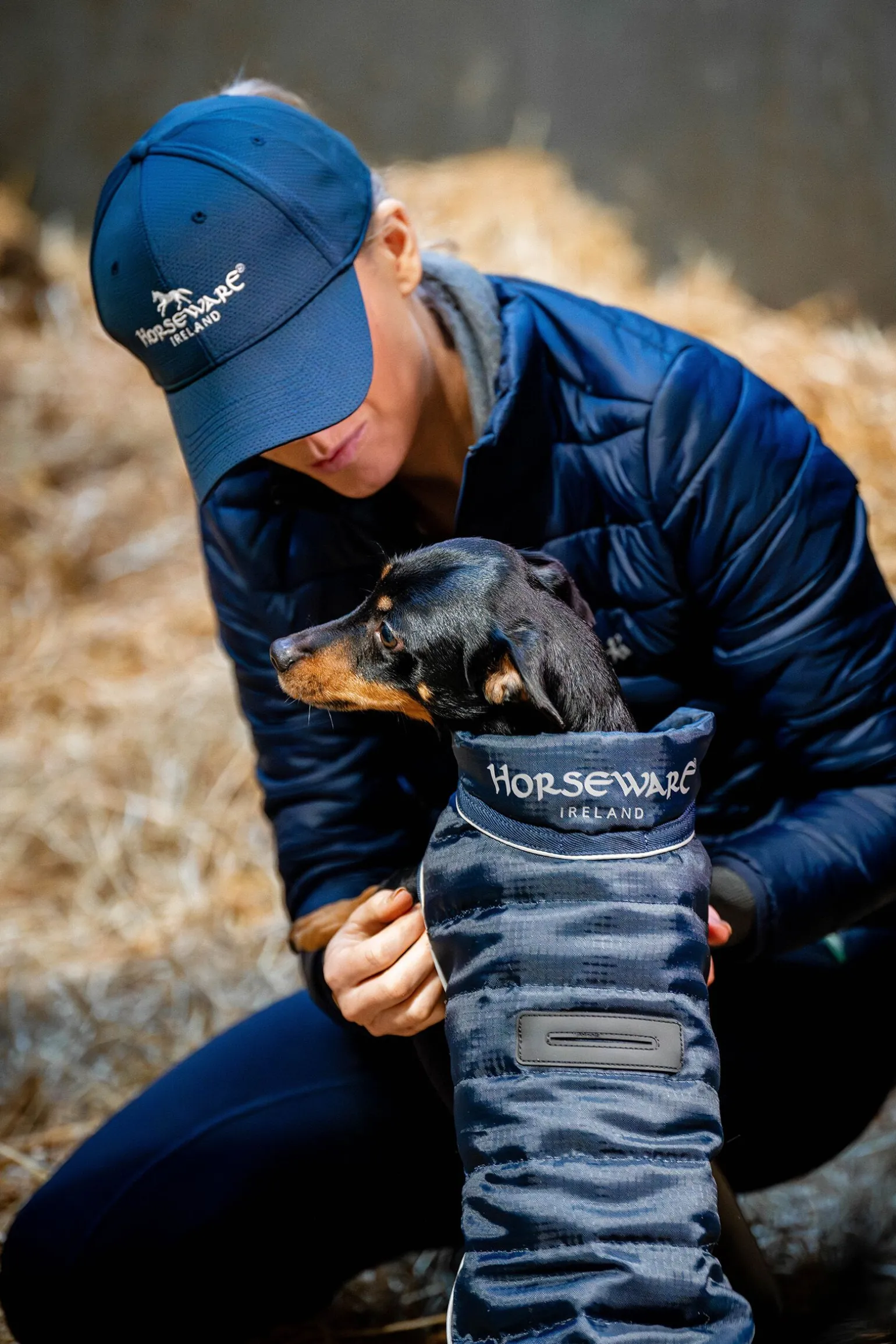 Horseware Signature Hundekappe