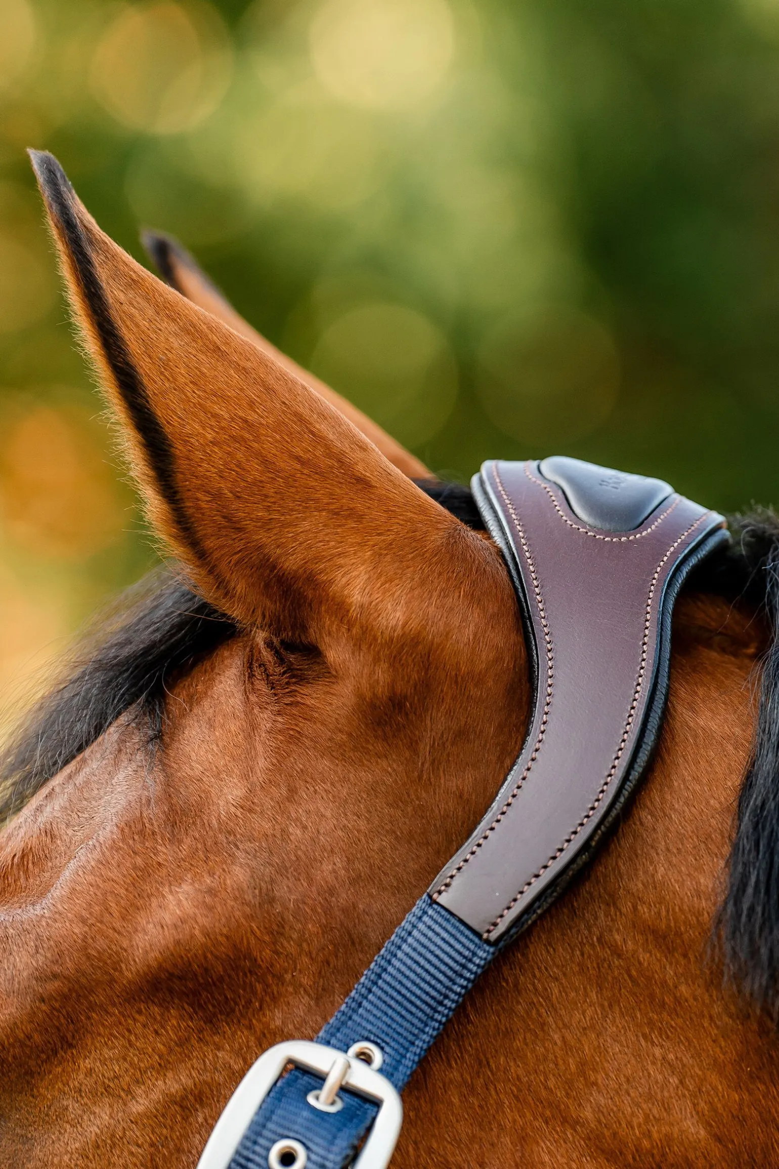 Horseware Signature Show Halter