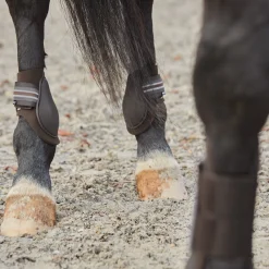 Horze Adepto bakbeinsbelegg