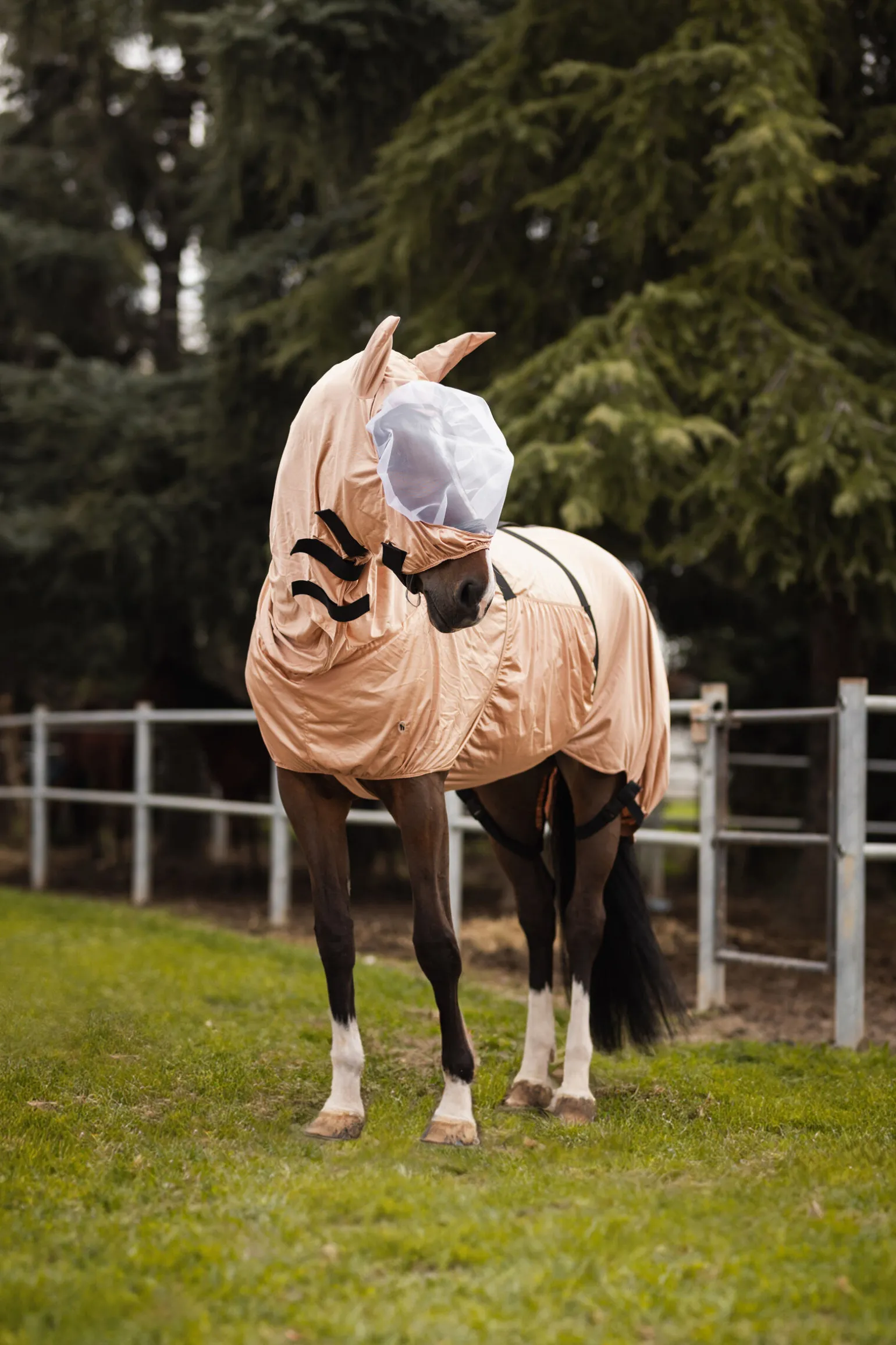 Horze Cover eksem-maske